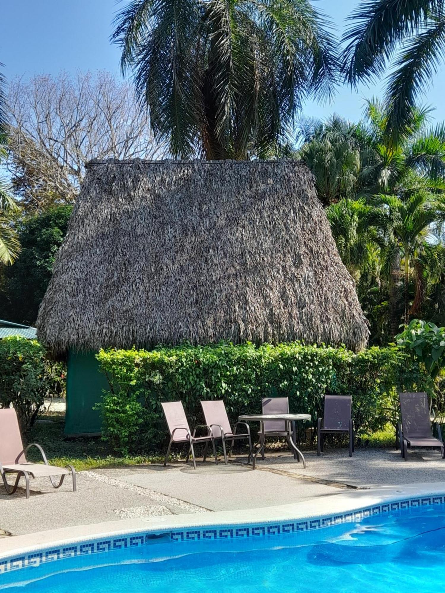 Mal Pais Surf Camp Hotel Playa Santa Teresa  Eksteriør billede