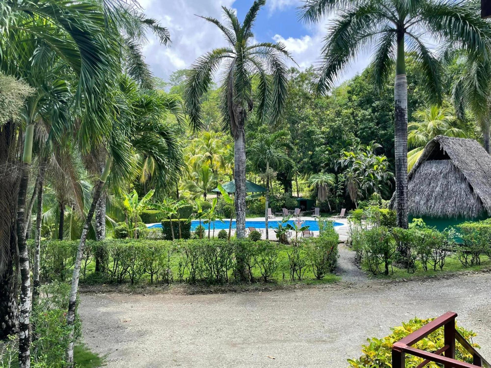 Mal Pais Surf Camp Hotel Playa Santa Teresa  Værelse billede