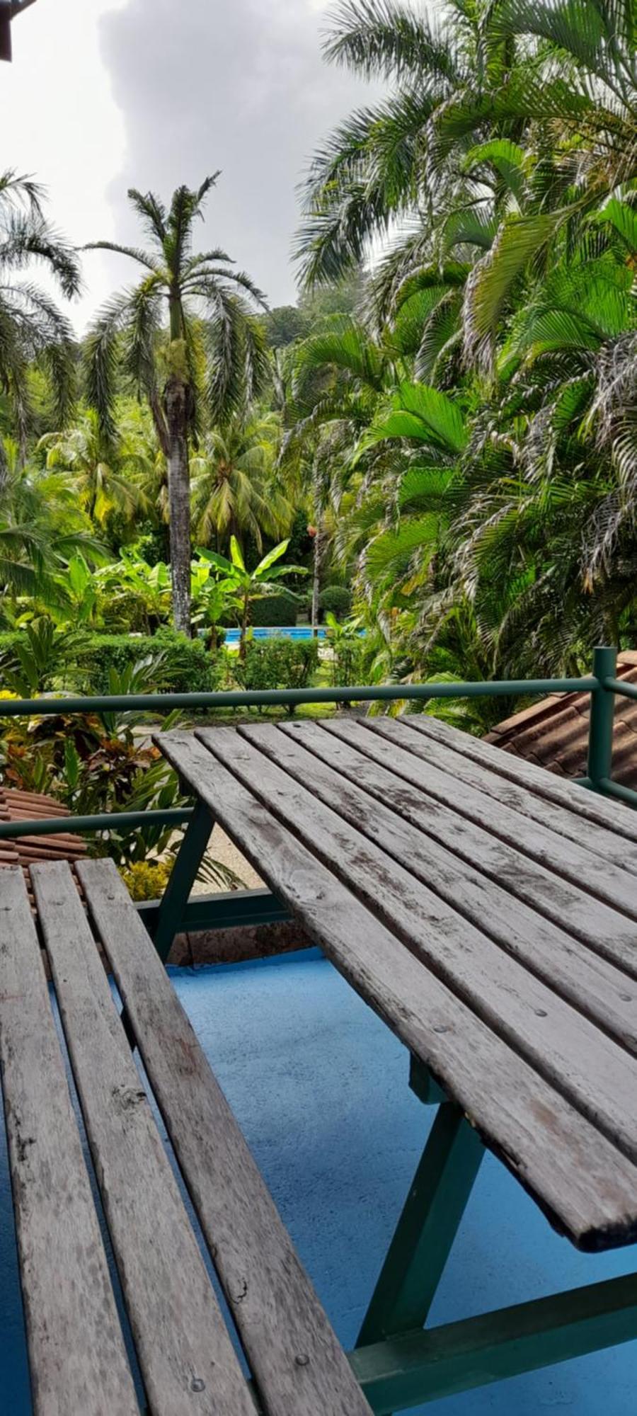 Mal Pais Surf Camp Hotel Playa Santa Teresa  Eksteriør billede