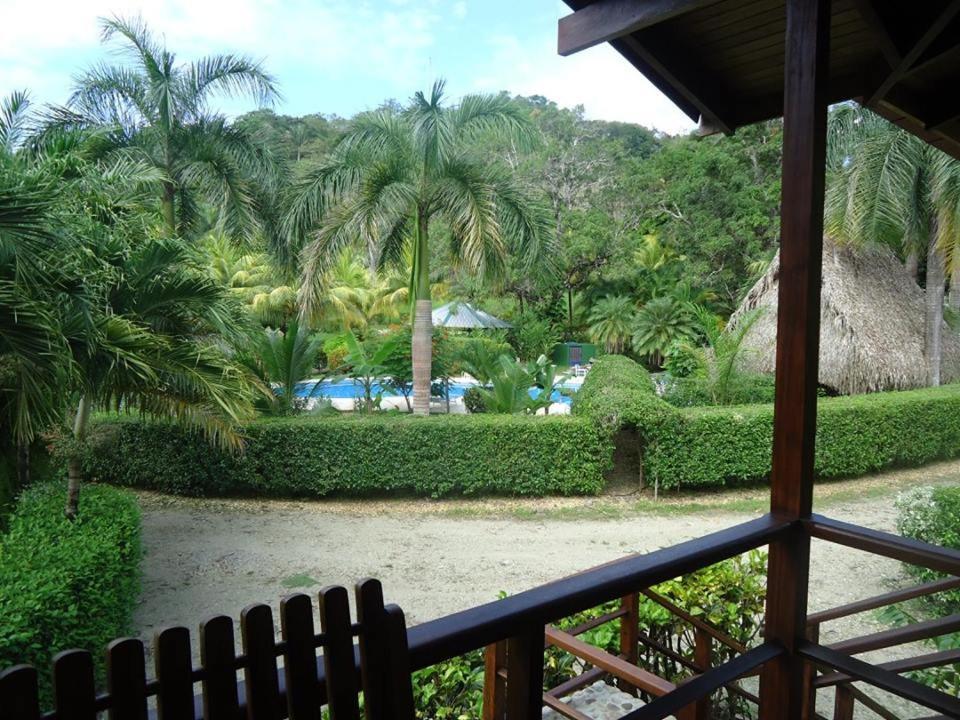 Mal Pais Surf Camp Hotel Playa Santa Teresa  Eksteriør billede
