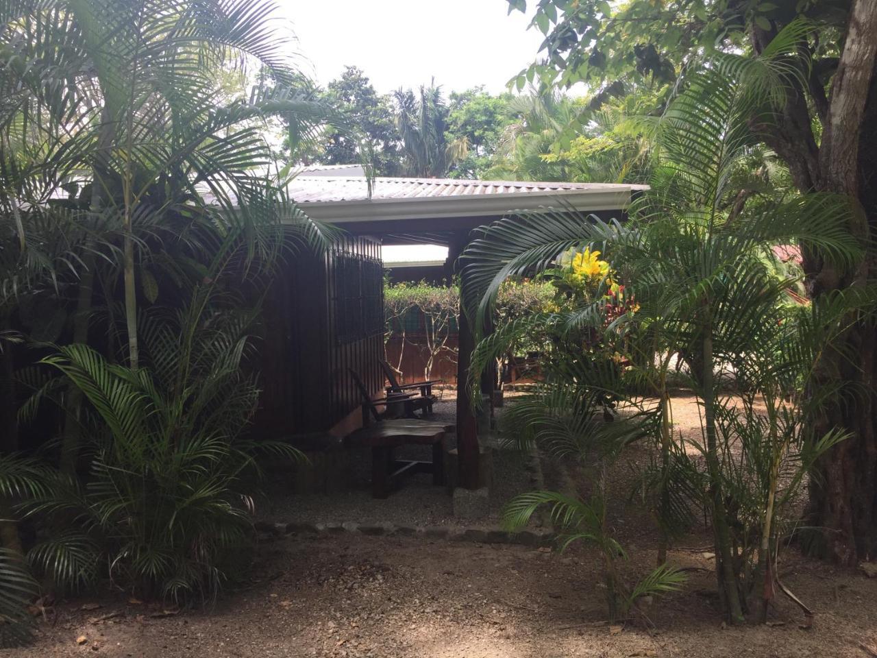 Mal Pais Surf Camp Hotel Playa Santa Teresa  Eksteriør billede